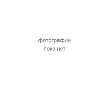 

Перчатки виниловые, КОМПЛЕКТ 50 пар (100 шт.), без хлопчатобумажного напыления, размер L (большой), PACLAN