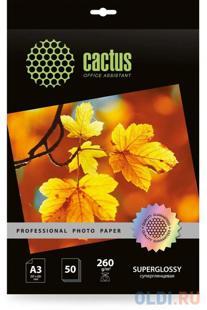 Фотобумага Cactus Prof CS-HGA326050 A3/260г/м2/50л./белый глянцевое для струйной печати
Фотобумага Cactus Prof CS-HGA326050 A3/260г/м2/50л./белый глянцевое для струйной печати