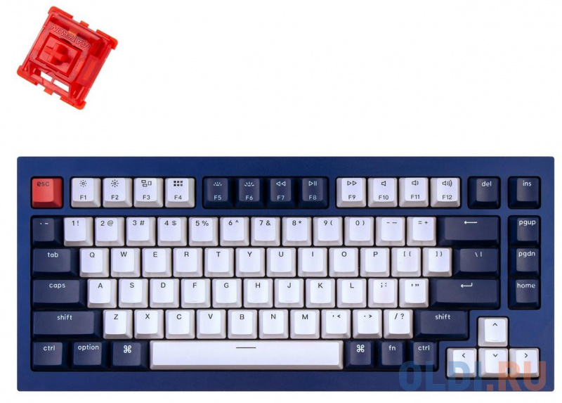 Клавиатура Keychron Q1J1 QMK Custom Mechanical Keyboard Blue USB Gateron G Phantom Red Switch, Синий
Клавиатура Keychron Q1J1 QMK Custom Mechanical Keyboard Blue USB Gateron G Phantom Red Switch, Синий