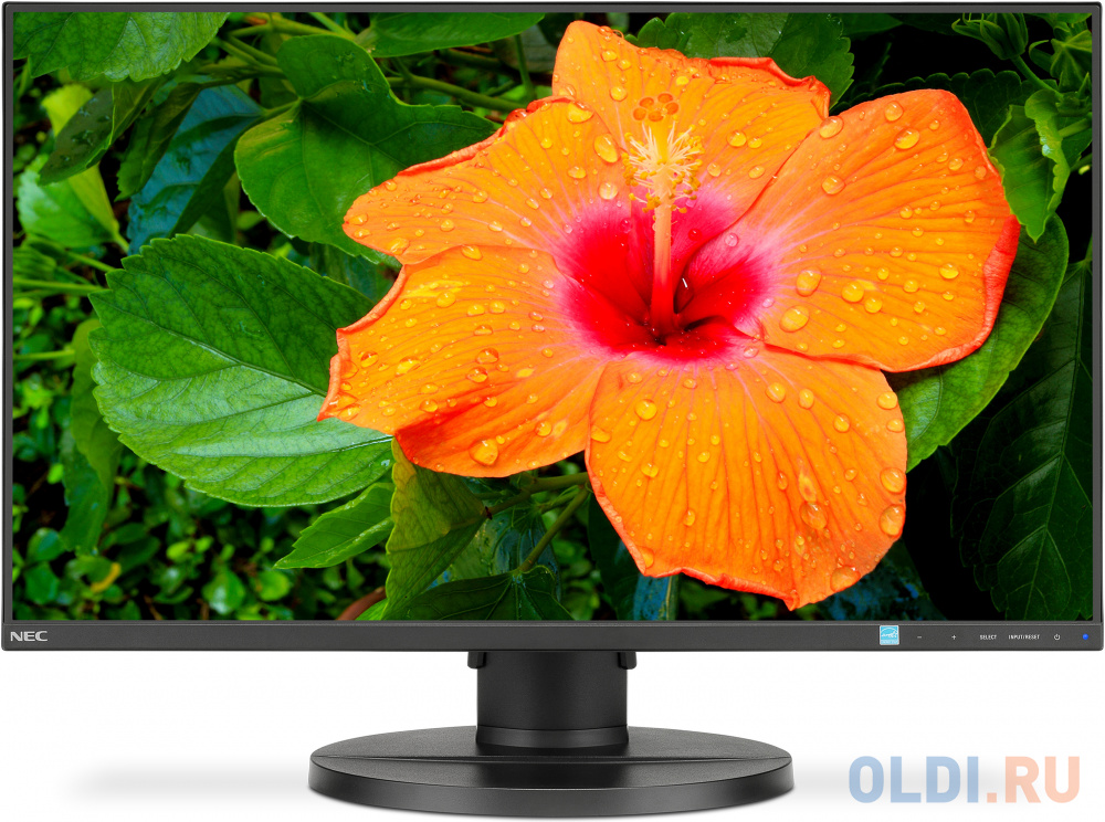 Монитор 27" NEC E271N-BK черный IPS 1920x1080 250 cd/m^2 6 ms HDMI DisplayPort VGA Аудио
Монитор 27" NEC E271N-BK черный IPS 1920x1080 250 cd/m^2 6 ms HDMI DisplayPort VGA Аудио