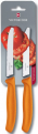   Victorinox Swiss Classic 2  6. 7836. L119B