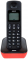 SANYO RA-SD53RUR    DECT