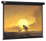  Cactus 150x150 Wallscreen CS-PSW-150X150-BK 1:1 -  