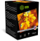  Cactus Prof CS-HGA6260500 A6/260/2/500./    