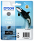  Epson C13T76074010  Epson SC-P600 