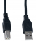 PERFEO  USB2.0 A  -  ,  5 . (U4104)