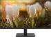  23.8" Dahua DHI-LM24-A201A