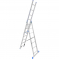 LadderBel    7  LS307