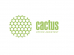  Cactus CS-GA620025  10x15 200 /2 25 