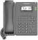  IP Flyingvoice P11  (.:1)