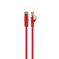 - UTP Cablexpert PP6U-0.5M/R .6, 0.5, ,  ()