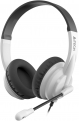    A4Tech HS-10 /  2   (,  / )