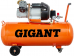 Gigant    2,2 , 100  V2200/100