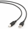 Bion   USB 2.0 AM/BM, 3,  [BXP-CCP-USB2-AMBM-030]