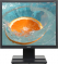  17" Acer V176Lb