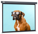  Cactus 149. 4x265. 7 Wallscreen CS-PSW-149X265-SG 16:9 -  