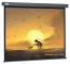  Cactus 124.5x221 Wallscreen CS-PSW-124X221-SG 16:9 -  