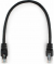 Cablexpert - UTP PP6U-0.25M .6, 0.25, ,  ()