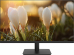  23.8" Dahua DHI-LM24-A201H
