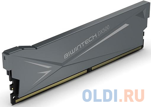

Память DDR 4 DIMM 8Gb PC24000, 3000Mhz, Biwintech DX500 Heatsink (8GB 1R*8 PC4 3000 CL16-18-18-36) B14BU8G53016ER-GAL#A