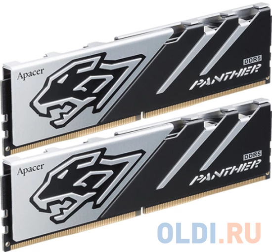 

Оперативная память для компьютера Apacer PANTHER DIMM 32Gb DDR5 6200 MHz AH5U32G62C5327BAA-2