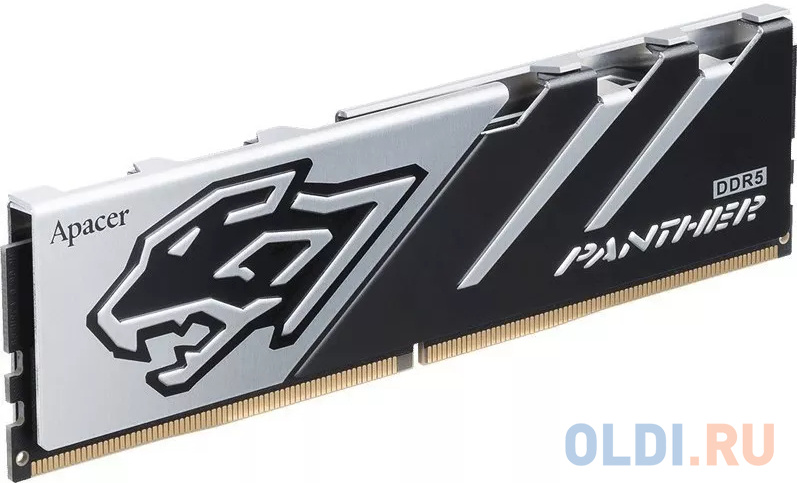 

Оперативная память для компьютера Apacer PANTHER DIMM 16Gb DDR5 6000 MHz AH5U16G60C5127BAA-1