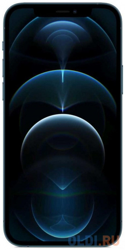 

Apple iPhone 12 Pro Max 256GB Pacific Blue [MGDF3RU/A]