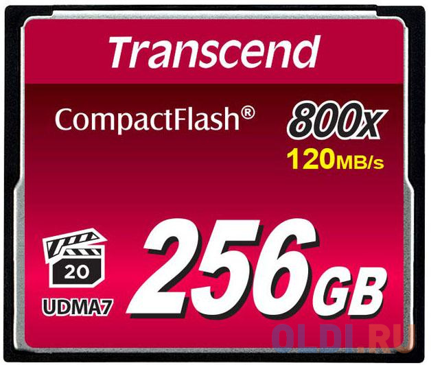 Флеш-накопитель Transcend 256GB CompactFlash 800X флешка 256gb transcend ts256gjf930c usb type c золотистый