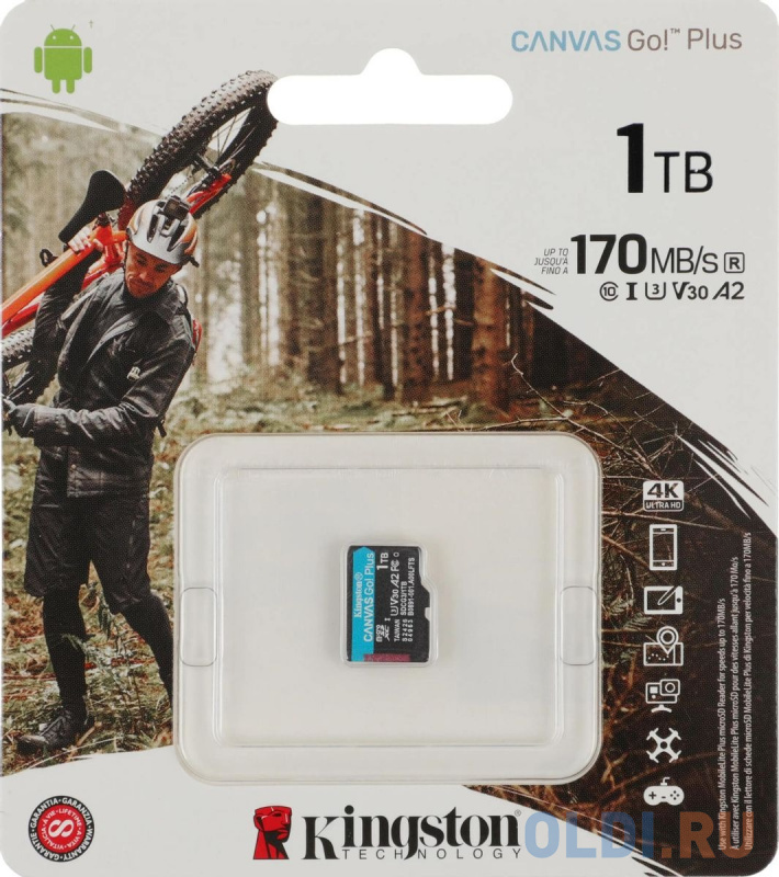 Карта памяти microSDXC 1000 ГбGb Kingston Canvas Go! Plus + SD адаптер - Canvas Go! Plus + SD адаптер