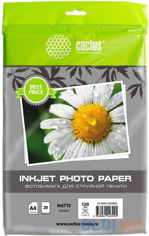 Фотобумага Cactus CS-MA412020ED A4/120г/м2/20л./белый матовое для струйной печати - фото 1
