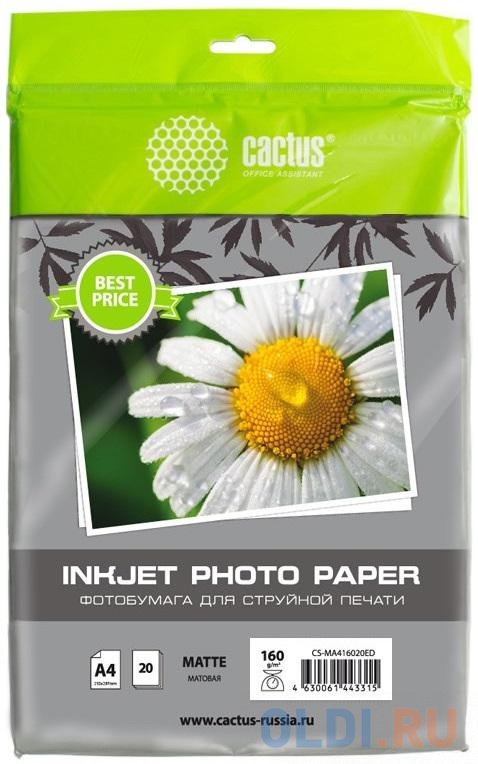 Фотобумага Cactus CS-MA416020ED A4/160г/м2/20л./белый матовое для струйной печати - фото 1