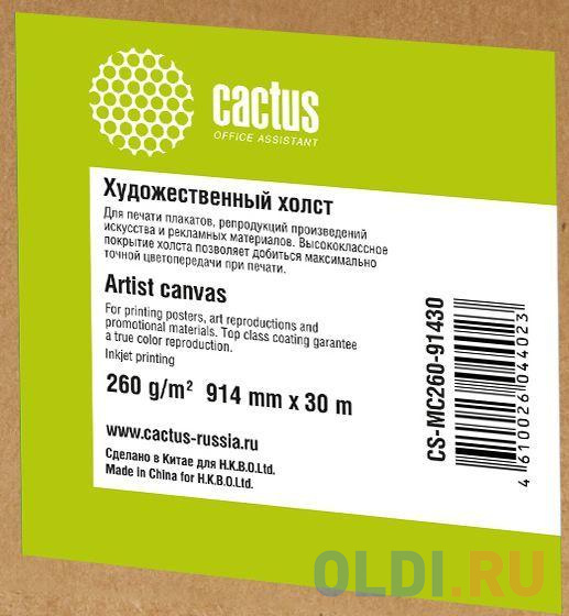 Холст Cactus CS-MC260-91430 914мм-30м 260г/м2 белый для струйной печати втулка 50.8мм 2" - фото 2