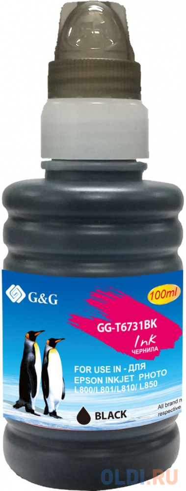 Чернила G&G GG-T6731BK черный100мл для Epson L800, L805, L810, L850 фото