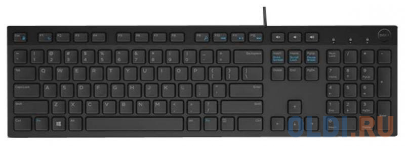 

Клавиатура проводная мультимедийная DELL KB216 черный USB (580-ADGR)