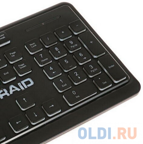 Клавиатура Defender RAID GK-778DL RU Black USB фото