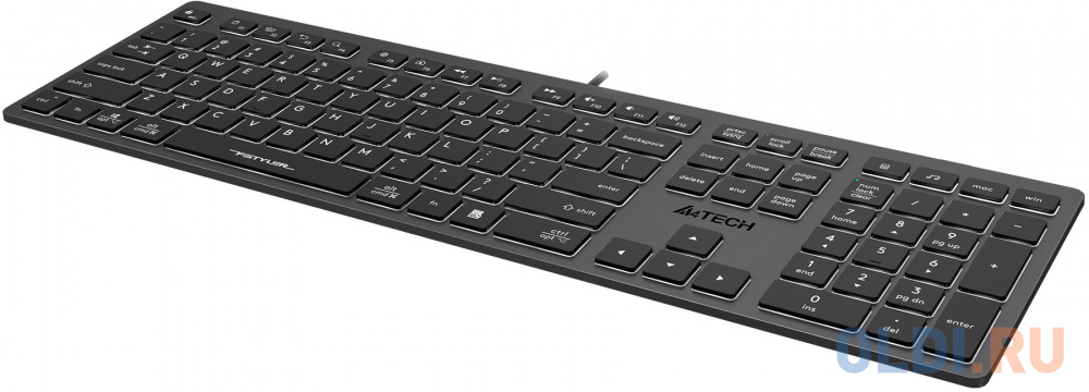 Клавиатура A4TECH Fstyler FX60H Grey USB фото