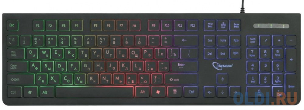 Клавиатура проводная Gembird KB-250L USB черный, цвет прозрачные