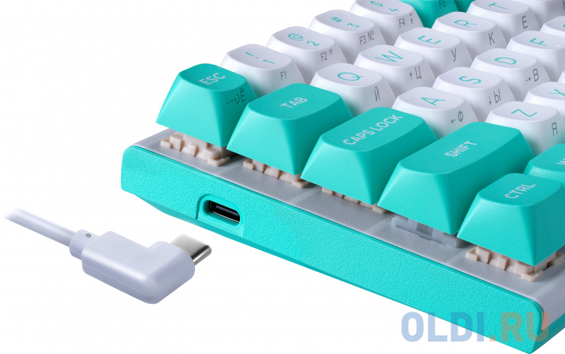 

Игровая клавиатура REDRAGON FIDD бело-голубаая (USB, Redragon + magnetic, 61 кл., RGB подсветка)