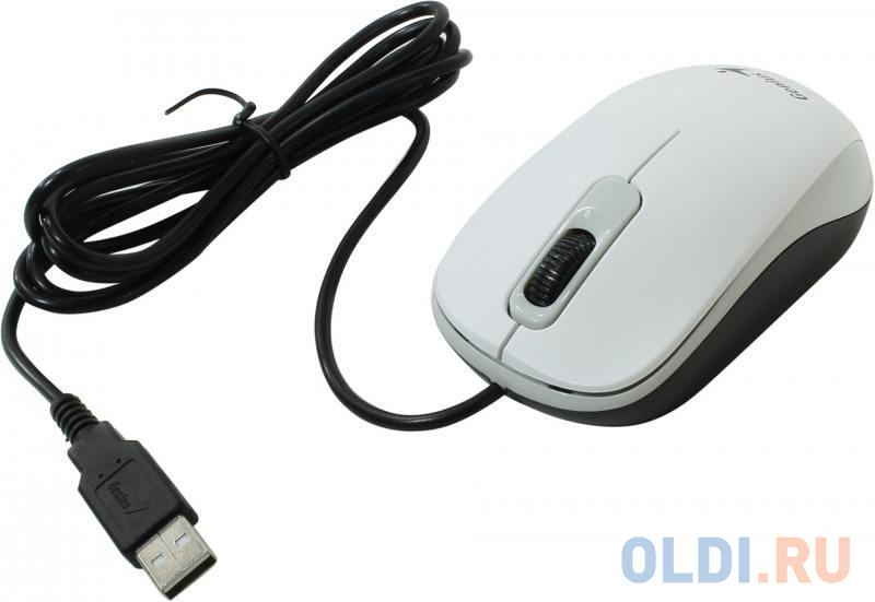 Мышь проводная Genius DX-120, оптическая, белый, USB ,1000dpi, подходит под обе руки