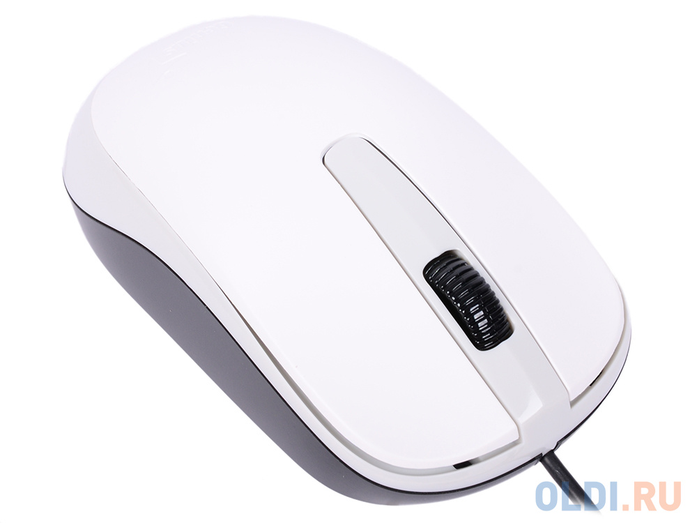 Мышь проводная Genius DX-120, оптическая, белый, USB ,1000dpi, подходит под обе руки фото