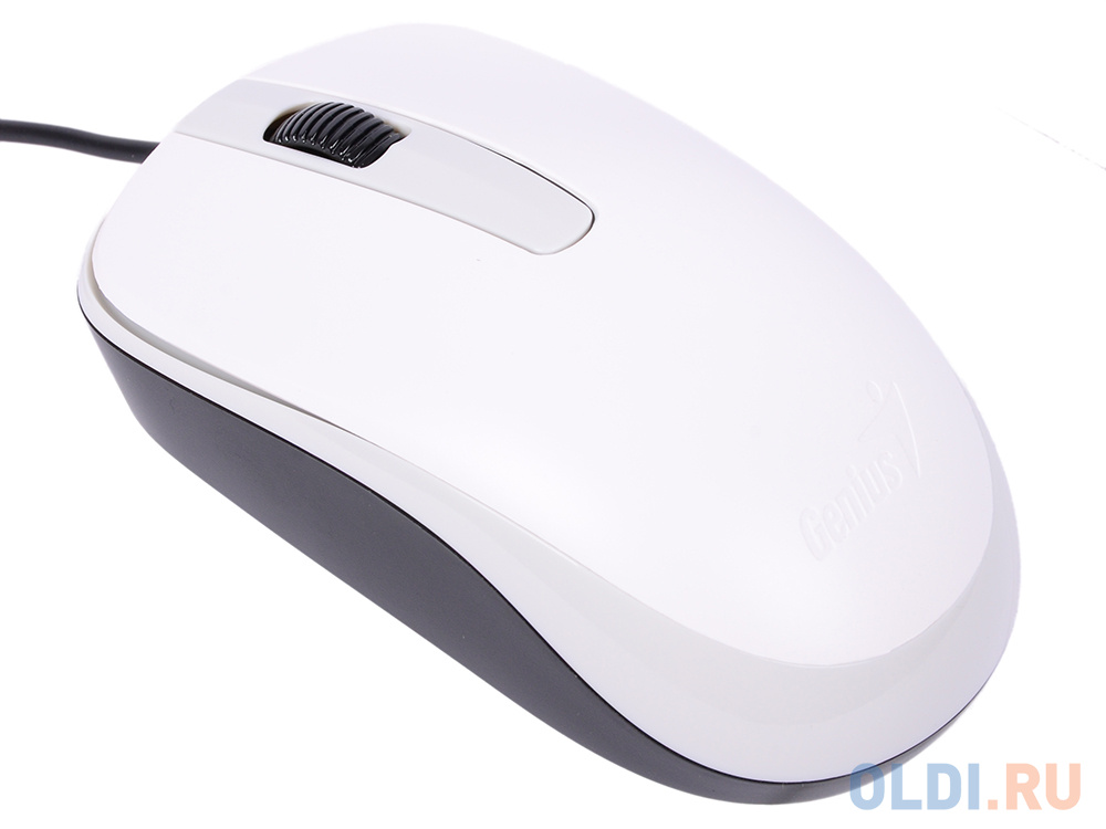 Мышь проводная Genius DX-120, оптическая, белый, USB ,1000dpi, подходит под обе руки фото