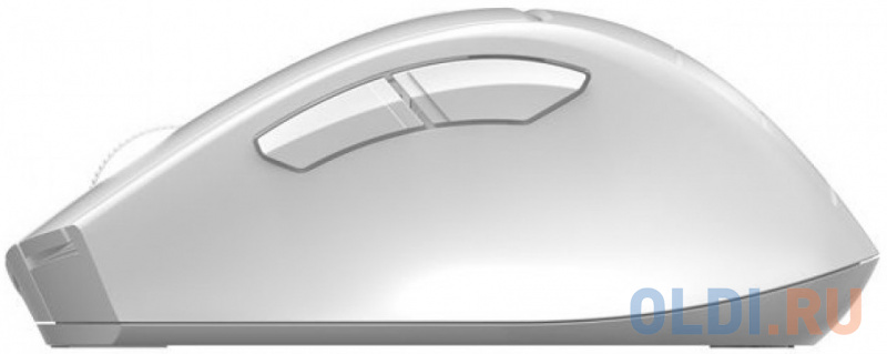Мышь беспроводная A4TECH Fstyler FG30 серый белый USB фото