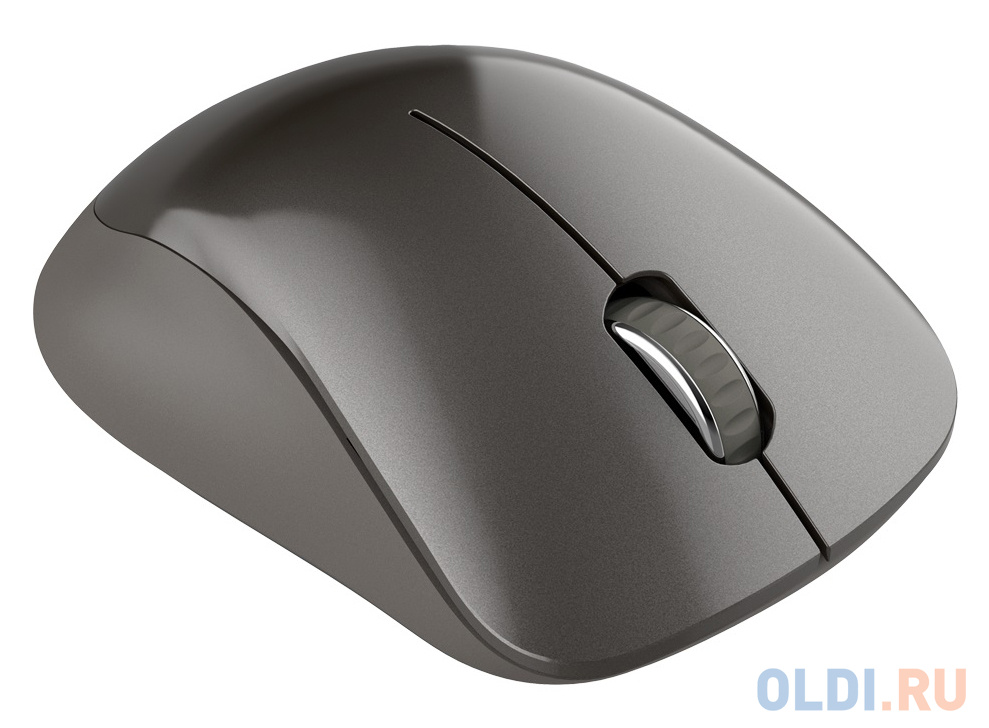 

Мышь беспроводная Canyon MW-911 темно-серый USB CNS-CMSW911DG