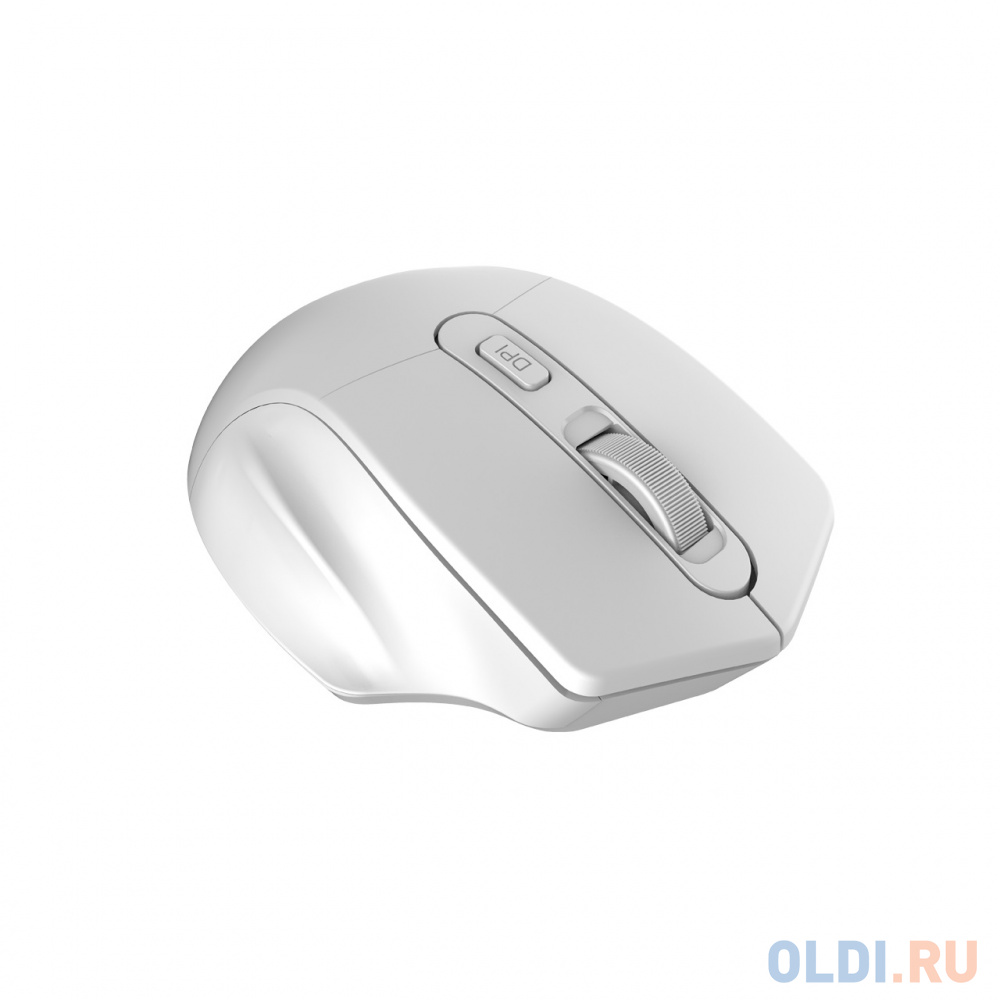Мышь беспроводная Canyon MW-15 белый USB CNE-CMSW15PW фото