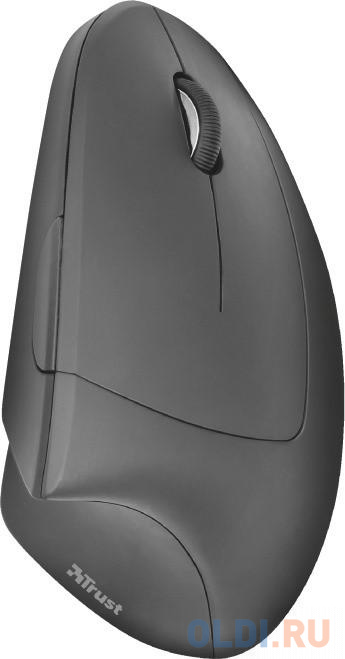 Мышь беспроводная TRUST Verto Wireless Ergonomic чёрный USB + радиоканал, размер 75х63х120 мм. - фото 4