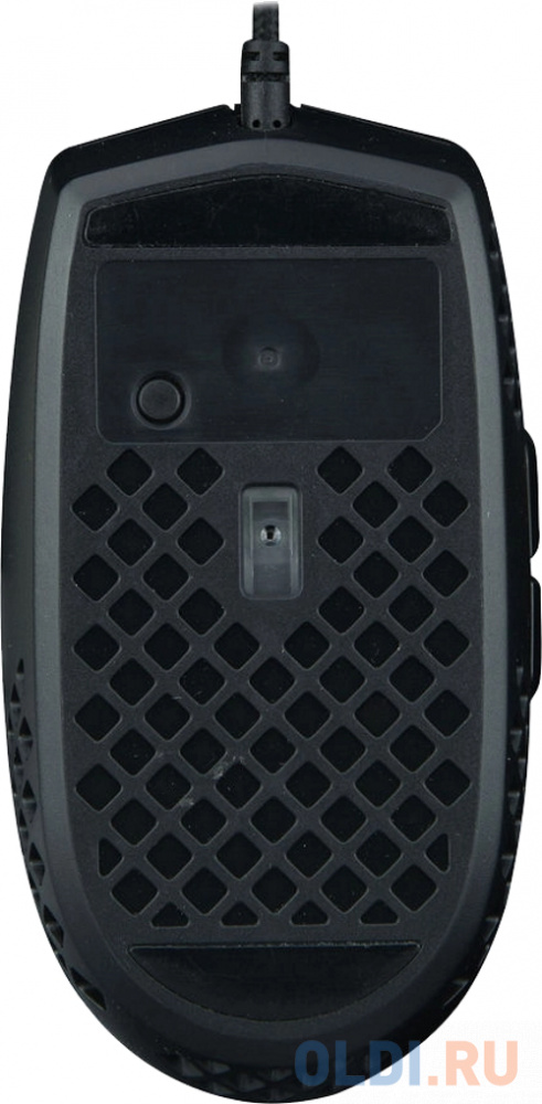 Мышь Acer OMW134 черный оптическая (3200dpi) USB (5but) фото