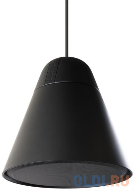 

Колонка портативная Громкоговоритель Apart BIAMP P30DT-BL Черный