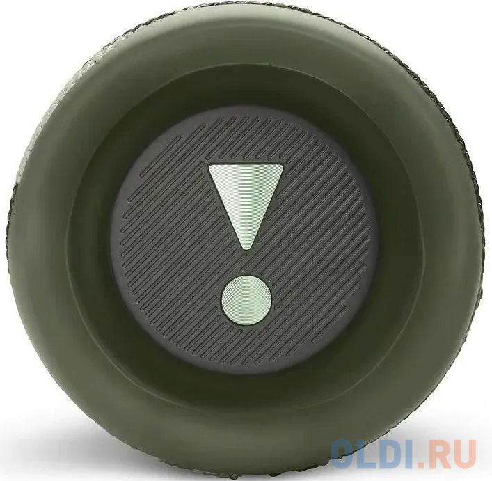Колонка портативная 1.0 (моно-колонка) JBL Flip 6 Камуфляж фото