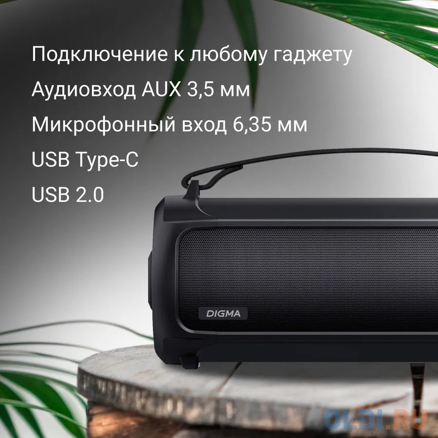Портативная колонка Digma D-PS1523, 25Вт, черный [sp1523b] фото