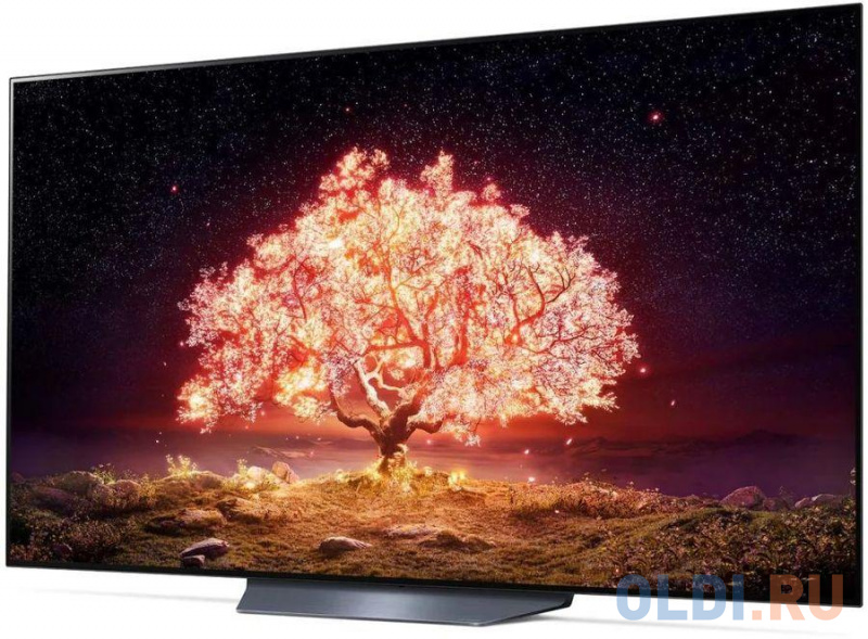 

Телевизор LG OLED65B1RLA 65" LED 4K Ultra HD, Черный